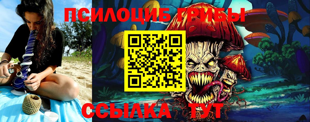 Галлюциногенные грибы ЛСД  Вход с VPN  Гатчина 